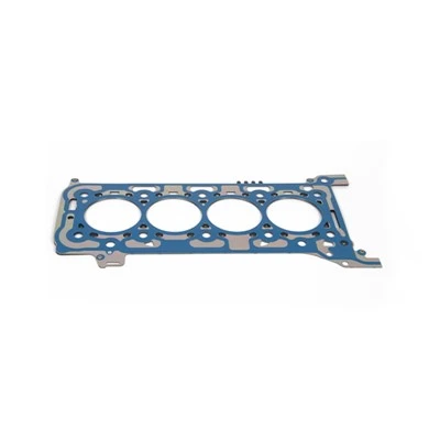 Everest Gasket