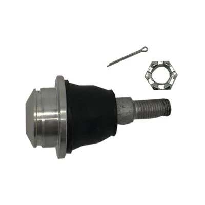 Right Lower Ball Joint