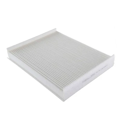 Air Conditioning Filter AB39-19N619-AA