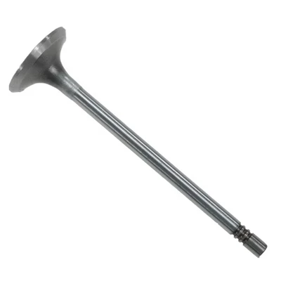 EXhaust Valve