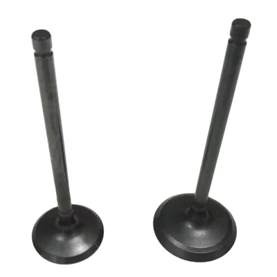 Intake/Outake Valve