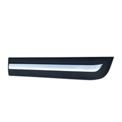 MOULDING RR DOOR