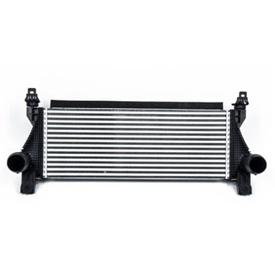 Raptor Intercooler JB3G-9L440-AA
