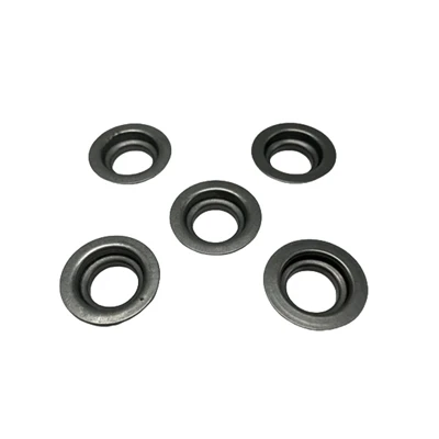 Valve Springs Seat